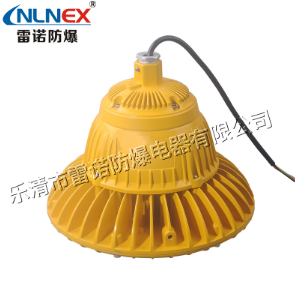 LED防爆燈在石油化工行業(yè)的發(fā)展趨勢